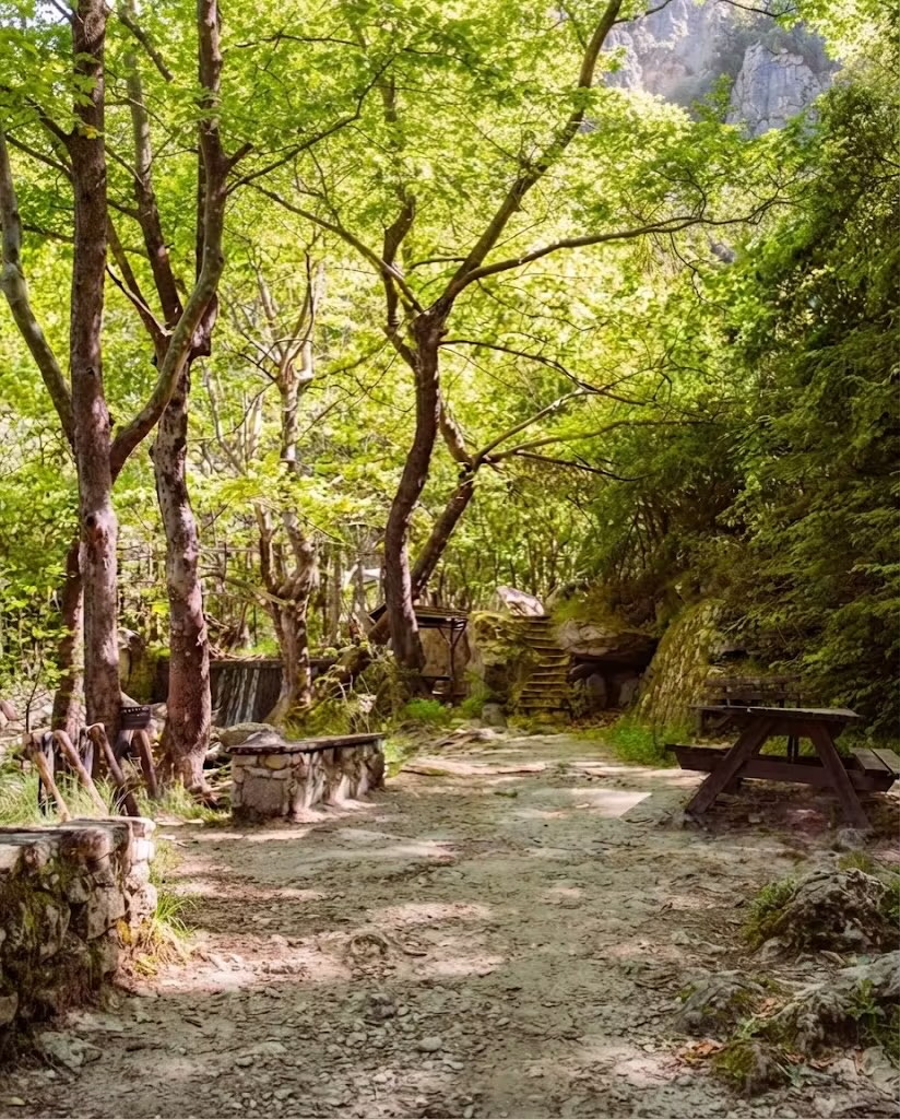 Ένα σκιερό ξέφωτο με πλατάνια, πέτρινα παγκάκια και ένα τραπέζι δίπλα στο μονοπάτι.