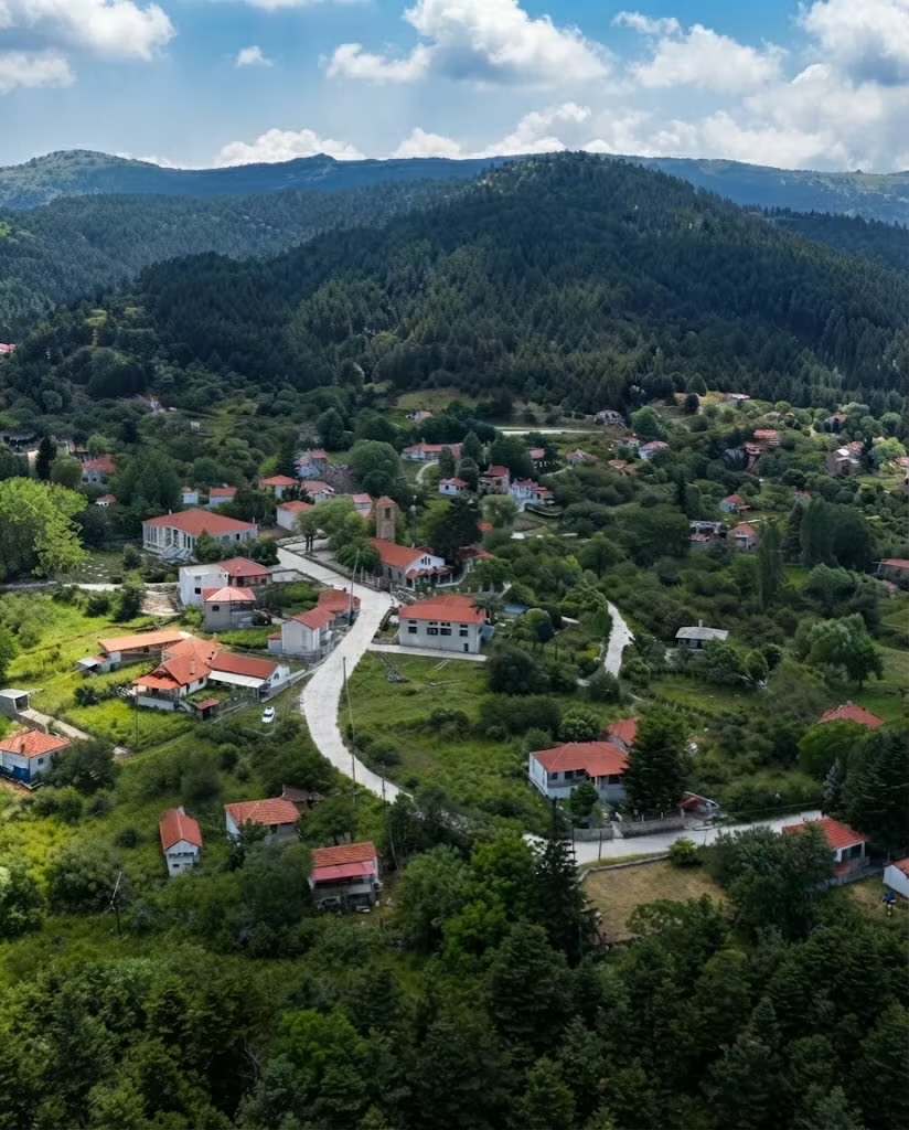 Ένα χωριό με κεραμοσκεπή σπίτια απλωμένο σε μια δασωμένη κοιλάδα κάτω από τα βουνά.